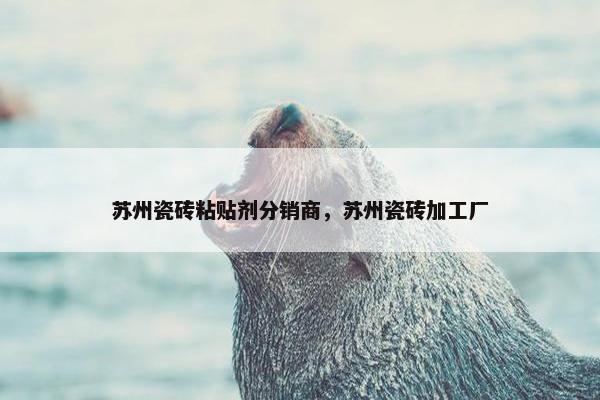 苏州瓷砖粘贴剂分销商，苏州瓷砖加工厂