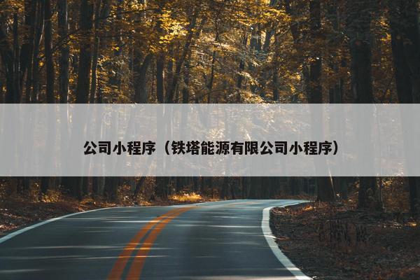 公司小程序（铁塔能源有限公司小程序）