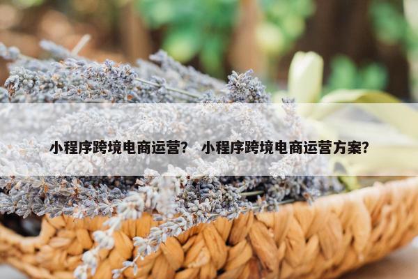 小程序跨境电商运营？ 小程序跨境电商运营方案？