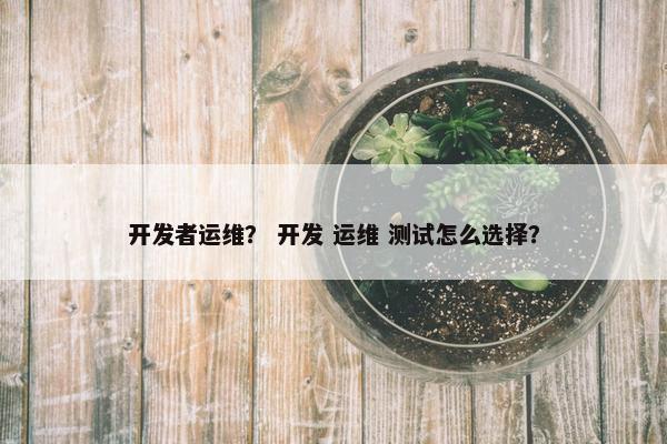 开发者运维？ 开发 运维 测试怎么选择？