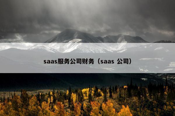 saas服务公司财务（saas 公司）