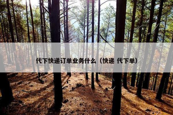 代下快递订单业务什么（快递 代下单）