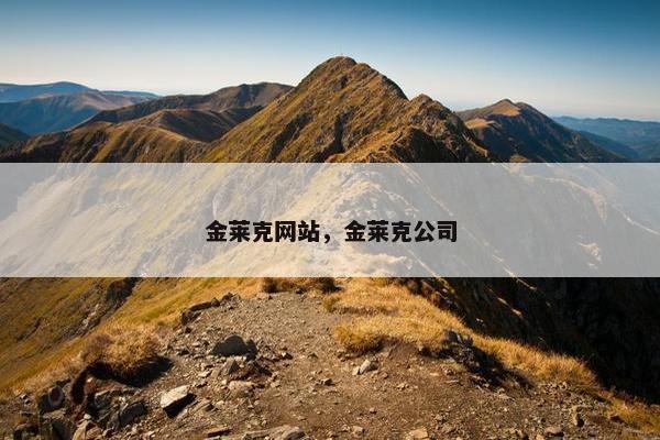 金莱克网站，金莱克公司