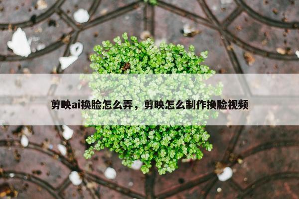 剪映ai换脸怎么弄，剪映怎么制作换脸视频