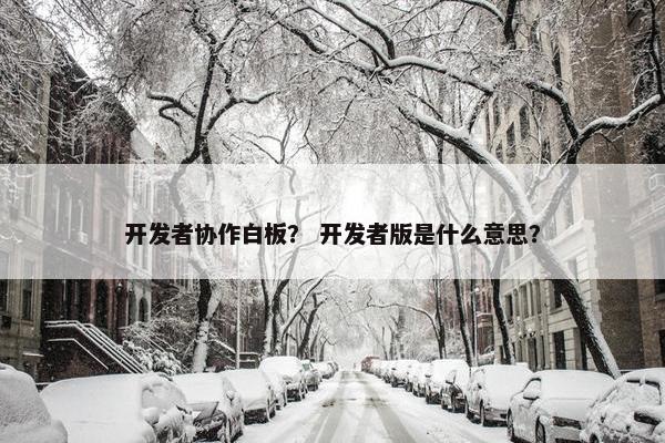 开发者协作白板？ 开发者版是什么意思？
