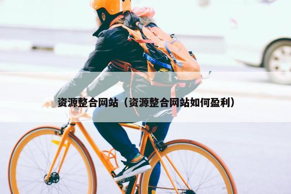 资源整合网站（资源整合网站如何盈利）