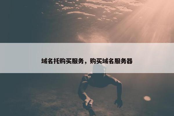 域名托购买服务，购买域名服务器