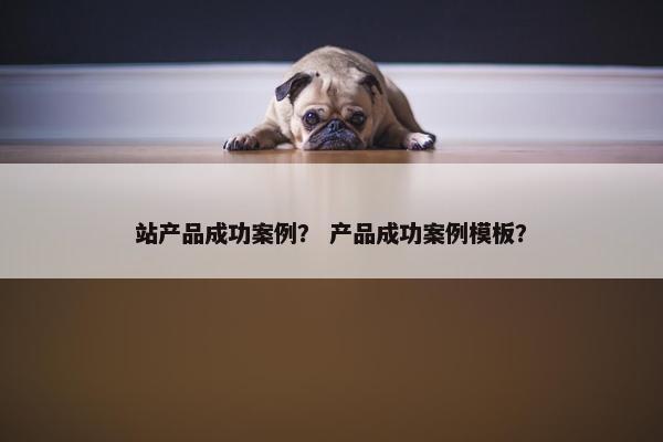 站产品成功案例？ 产品成功案例模板？