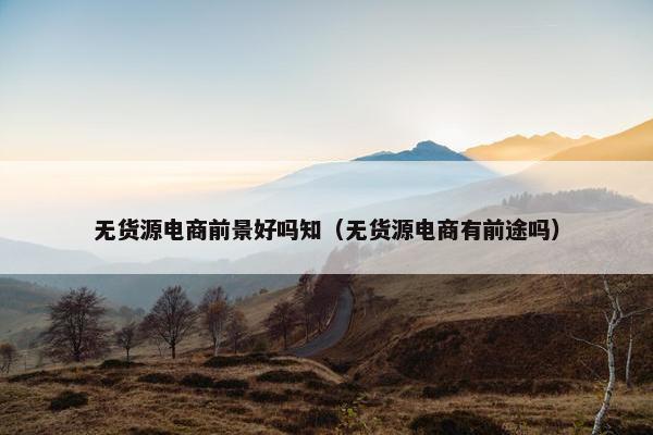 无货源电商前景好吗知（无货源电商有前途吗）