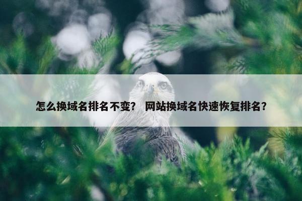 怎么换域名排名不变？ 网站换域名快速恢复排名？