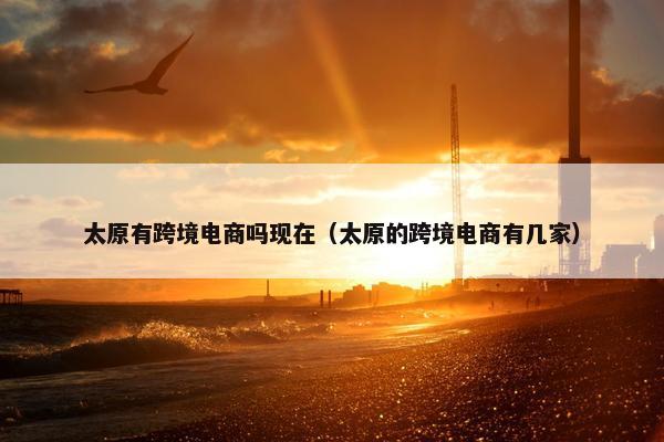 太原有跨境电商吗现在（太原的跨境电商有几家）