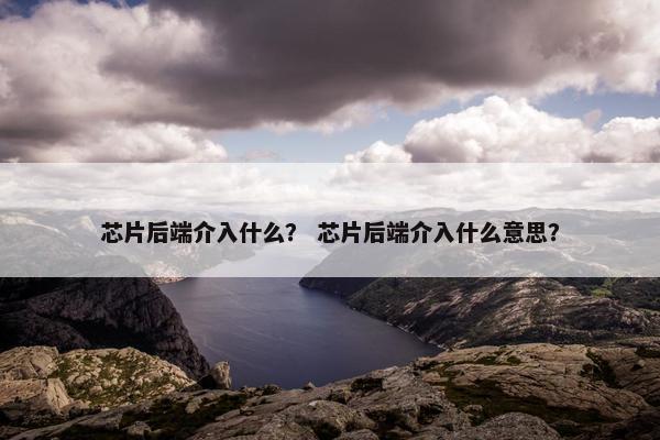 芯片后端介入什么？ 芯片后端介入什么意思？