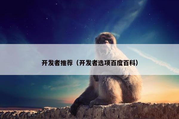 开发者推荐（开发者选项百度百科）