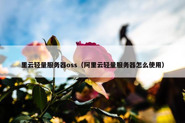 里云轻量服务器oss（阿里云轻量服务器怎么使用）