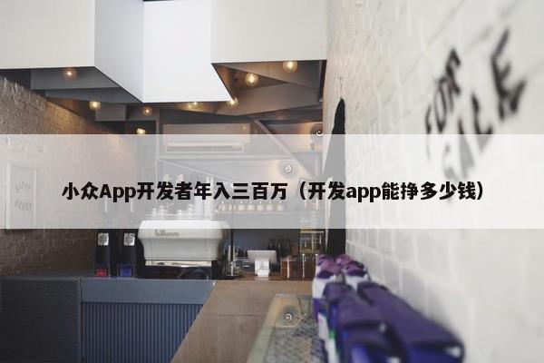 小众App开发者年入三百万（开发app能挣多少钱）