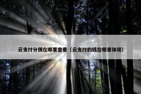 云支付分佣在哪里查看（云支付的钱在哪里体现）