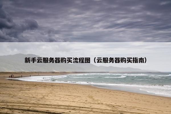 新手云服务器购买流程图（云服务器购买指南）
