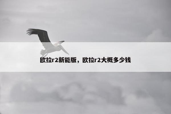 欧拉r2新能版，欧拉r2大概多少钱