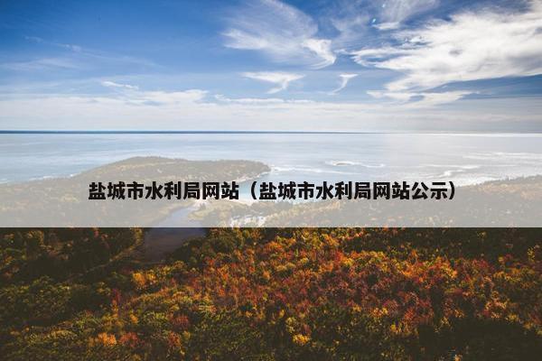 盐城市水利局网站（盐城市水利局网站公示）