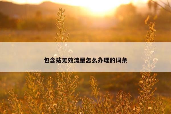包含站无效流量怎么办理的词条