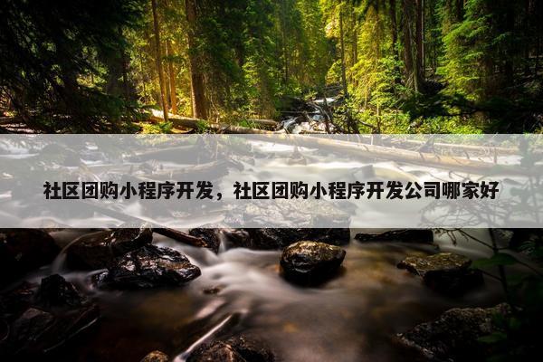 社区团购小程序开发，社区团购小程序开发公司哪家好