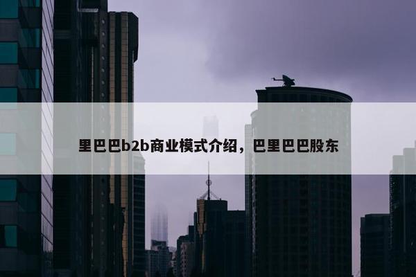 里巴巴b2b商业模式介绍，巴里巴巴股东