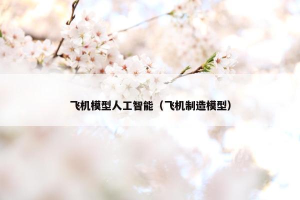 飞机模型人工智能（飞机制造模型）