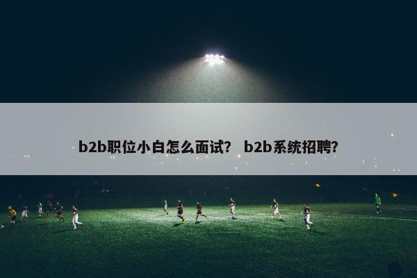 b2b职位小白怎么面试？ b2b系统招聘？