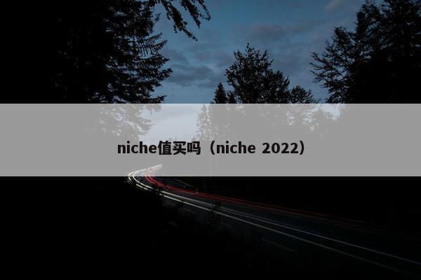 niche值买吗（niche 2022）