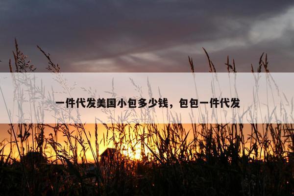 一件代发美国小包多少钱，包包一件代发