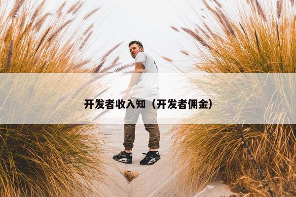 开发者收入知（开发者佣金）
