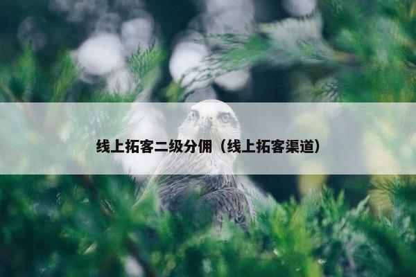 线上拓客二级分佣（线上拓客渠道）