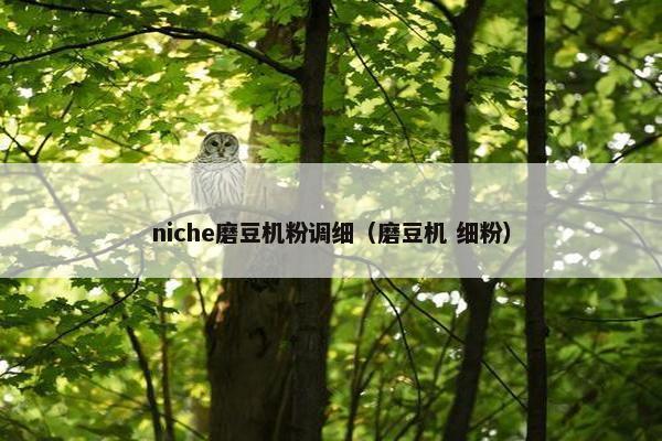 niche磨豆机粉调细（磨豆机 细粉）
