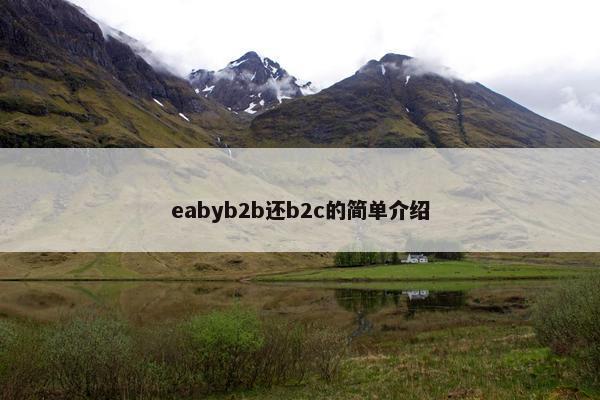 eabyb2b还b2c的简单介绍