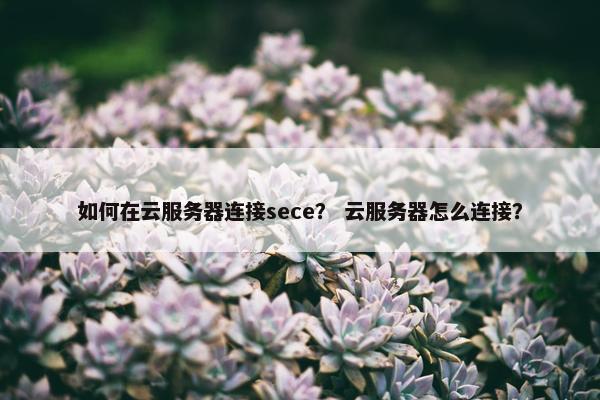 如何在云服务器连接sece？ 云服务器怎么连接？