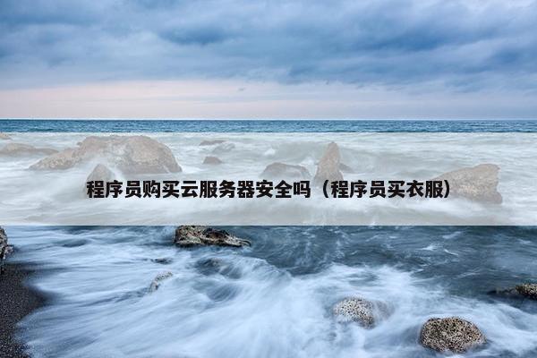 程序员购买云服务器安全吗（程序员买衣服）