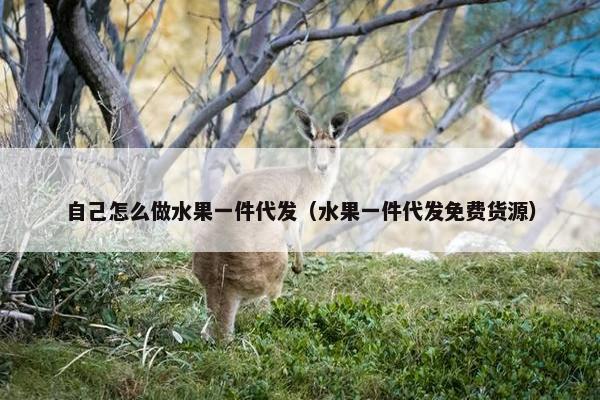自己怎么做水果一件代发（水果一件代发免费货源）