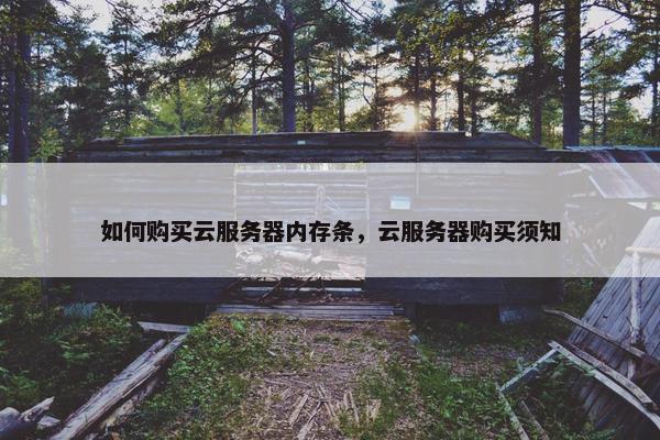 如何购买云服务器内存条，云服务器购买须知