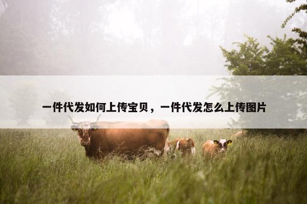 一件代发如何上传宝贝，一件代发怎么上传图片