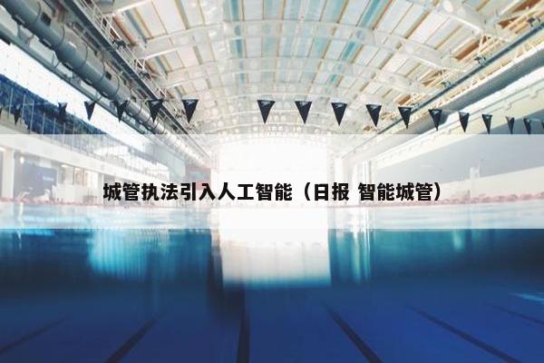 城管执法引入人工智能（日报 智能城管）