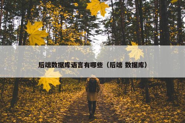 后端数据库语言有哪些（后端 数据库）
