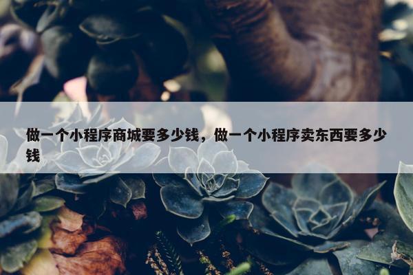 做一个小程序商城要多少钱，做一个小程序卖东西要多少钱