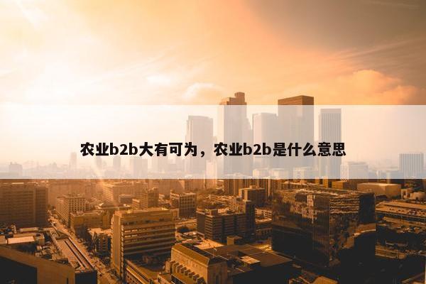 农业b2b大有可为，农业b2b是什么意思