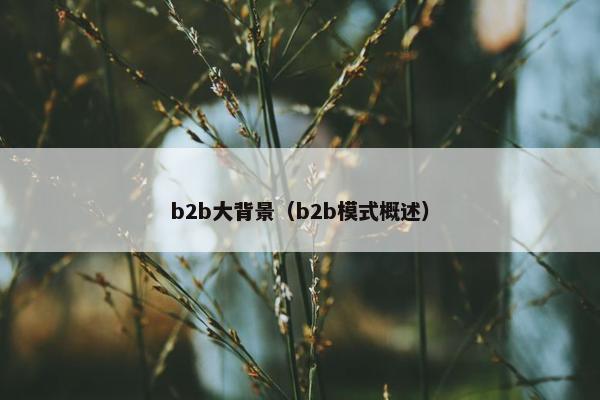 b2b大背景（b2b模式概述）