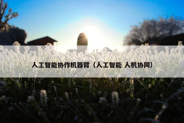 人工智能协作机器臂（人工智能 人机协同）