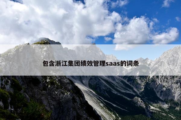 包含浙江集团绩效管理saas的词条