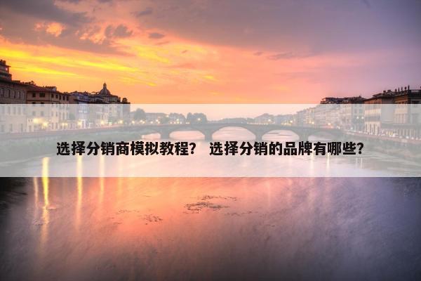 选择分销商模拟教程？ 选择分销的品牌有哪些？