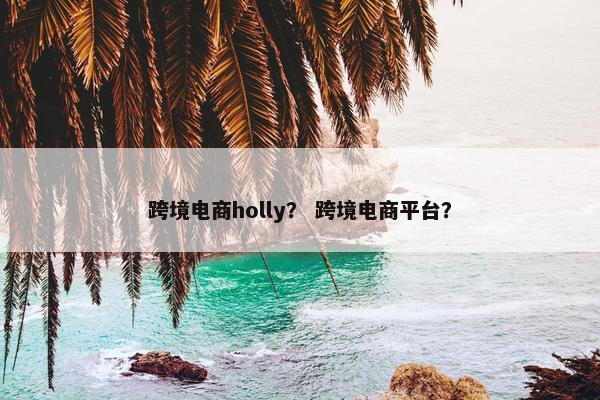 跨境电商holly？ 跨境电商平台？