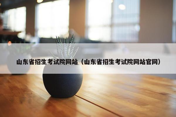 山东省招生考试院网站（山东省招生考试院网站官网）