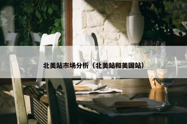 北美站市场分析（北美站和美国站）